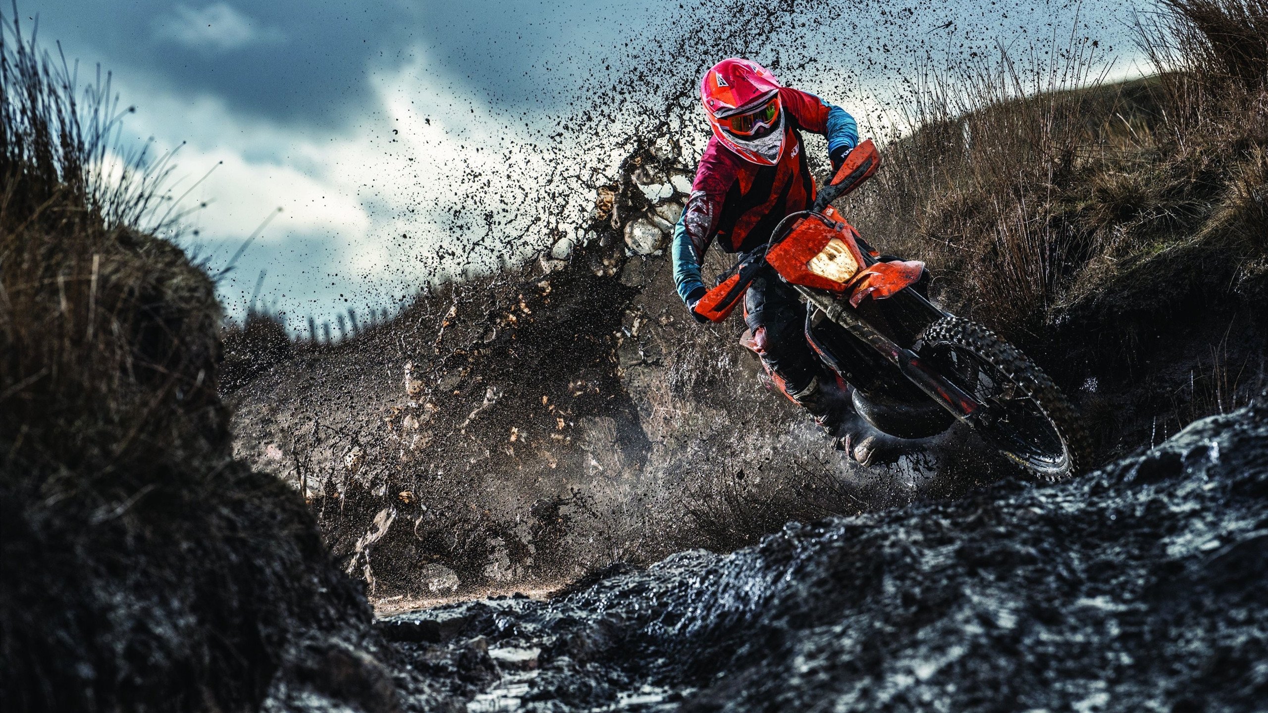 WE关键比赛逆转获胜，梁靖昆逆转比赛的关键