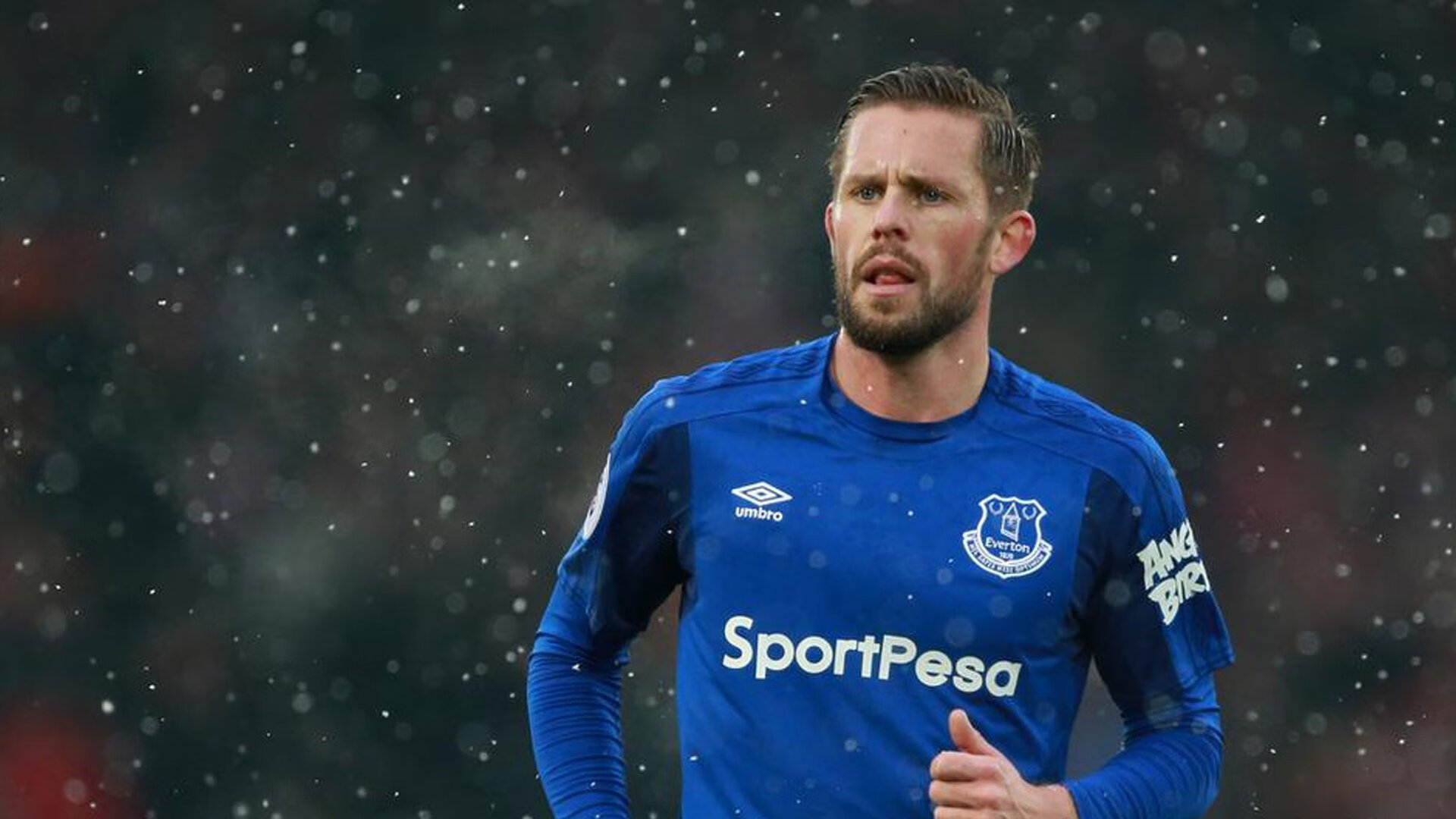 悉尼国王主场表现抢眼，悉尼国际