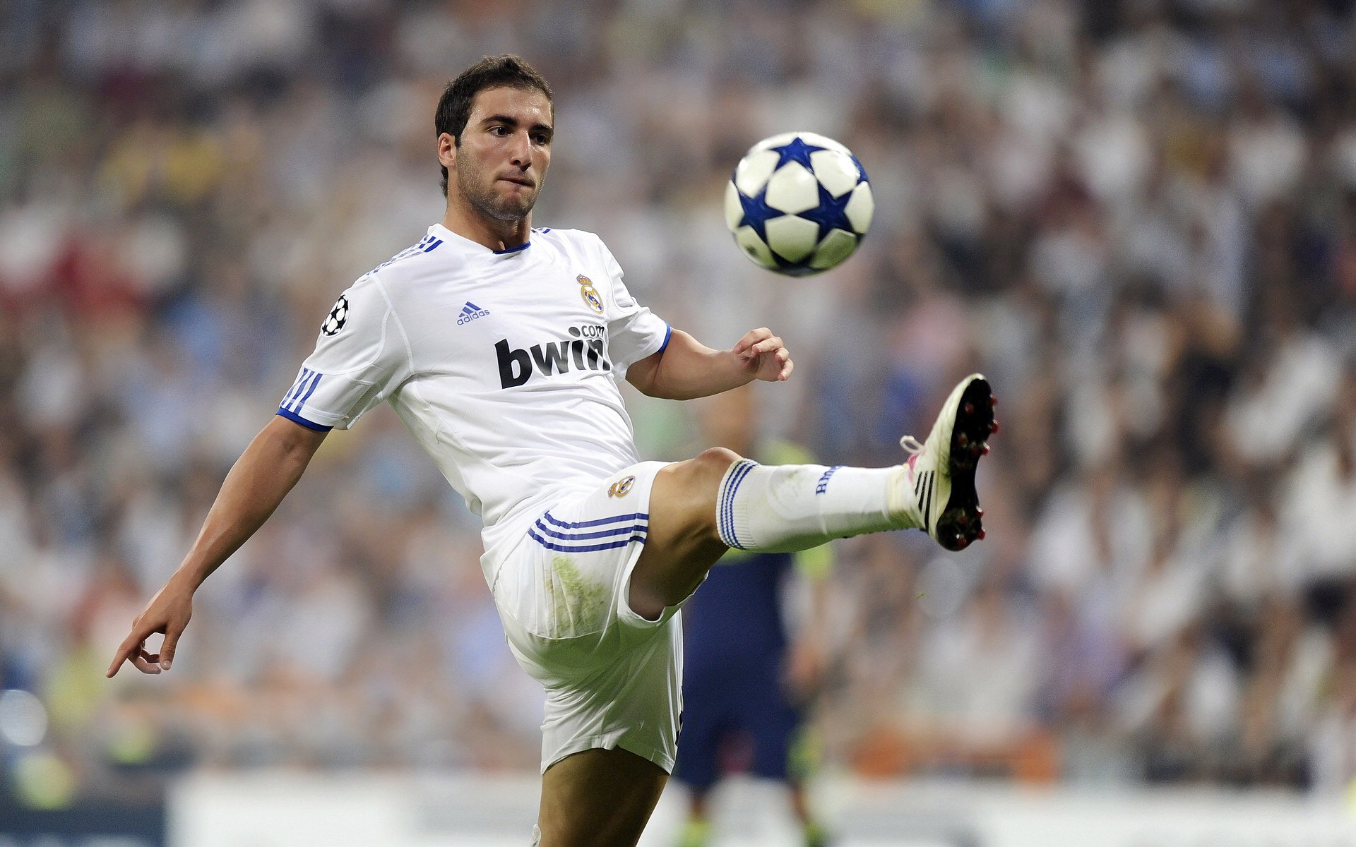 全黑队的防守体系严密，威胁敌方进攻，黑队什么意思